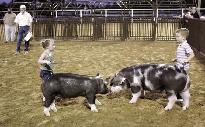 Jadi Davis of Tecumseh, left, tells Grady Whittington of South Rock Creek, “I’m winning,” during the Pee Wee Showmanship division of the T-Town Showdown on Aug. 26. Judge Colton Blehm later arranged it where they both won a cash prize. Countywide &amp; Sun/Natasha Dunagan