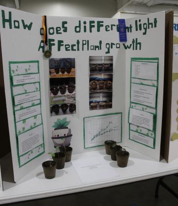 Tecumseh fifth-grader Zach Thompson won a gold medal and blue ribbon for his science fair project entitled "How does different light affect plant growth?" on March 26. Countywide & Sun/Natasha Dunagan