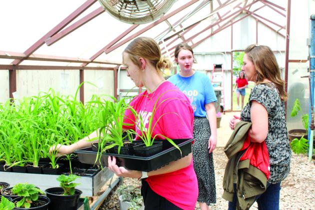 Tecumseh agriculture student Addison Taron selects some daylilies for Keli Brown, as Brown talks with THS Ag Teacher Mara Carman, center, at the annual Tecumseh High School FFA Plant Sale on April 25. Carman said they offered bedding plants, vegetables, herbs, hanging baskets, large planter gardens and dish gardens. They also added wildflowers. Countywide & Sun/Natasha Dunagan